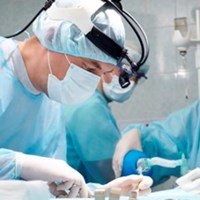 Портфолио Donald Lee